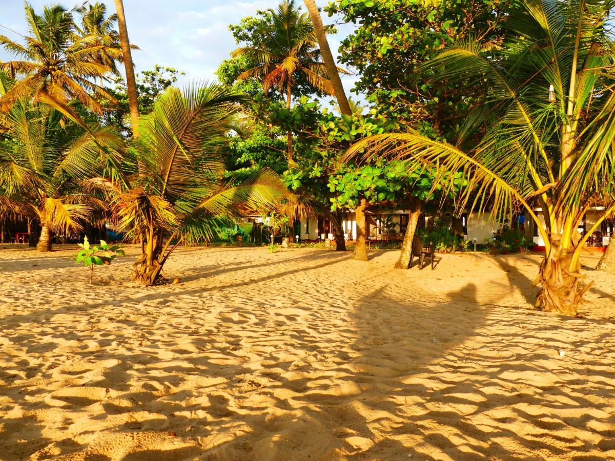 Marari Sealap Beach Villas Mararikulam Exterior photo