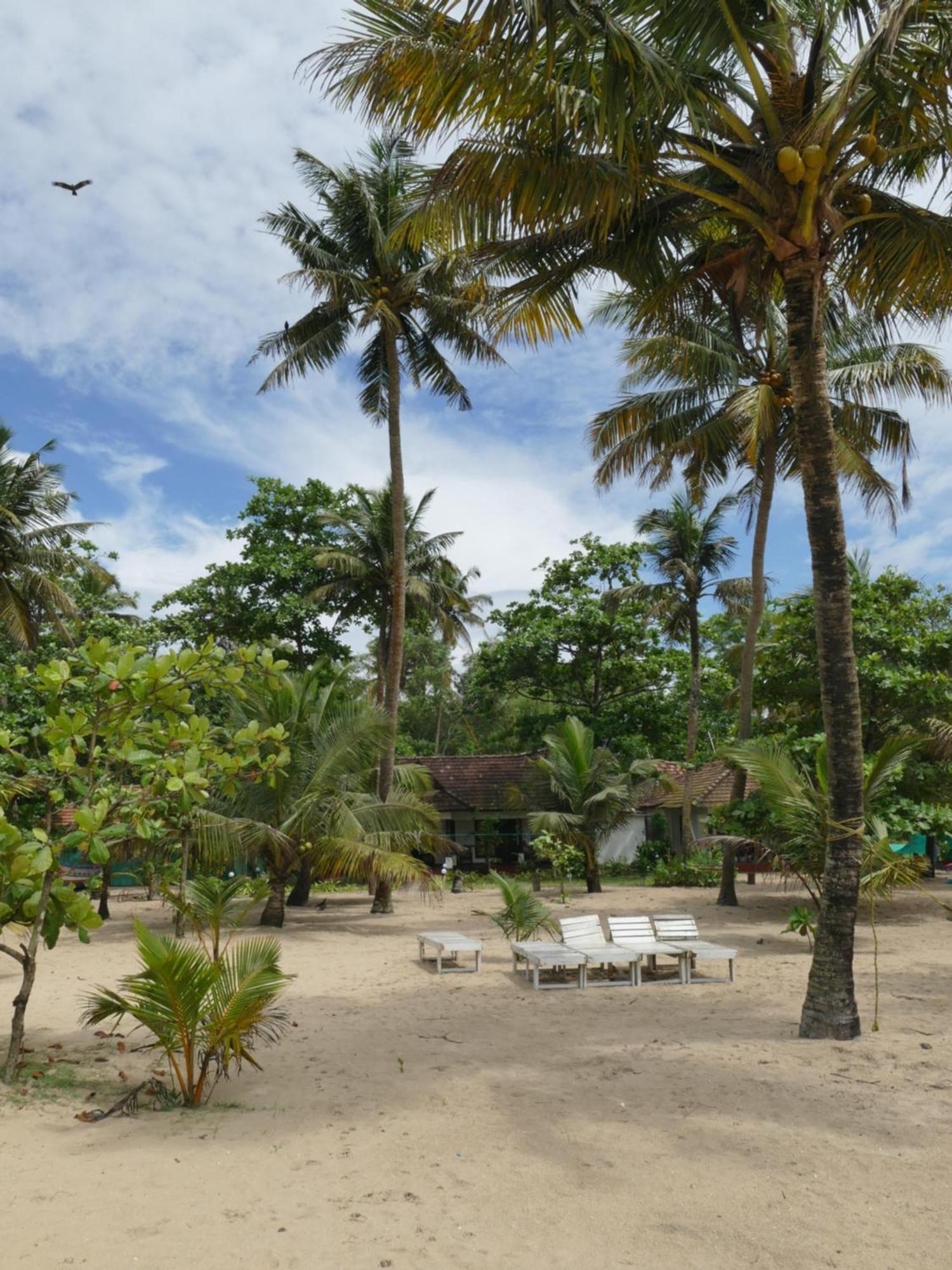Marari Sealap Beach Villas Mararikulam Exterior photo